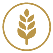 Gluten